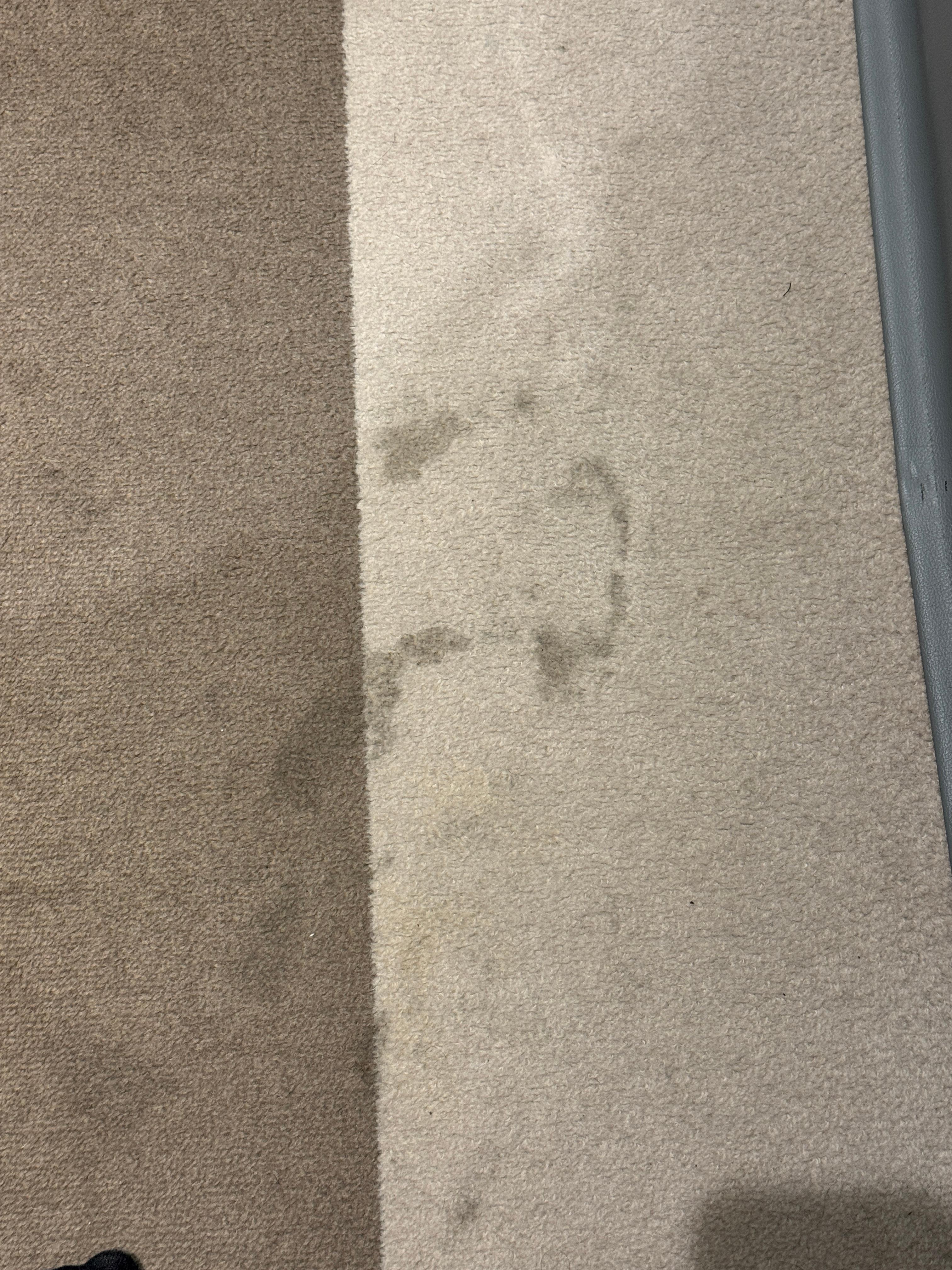 Another dirty carpet area