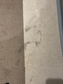 Another dirty carpet area