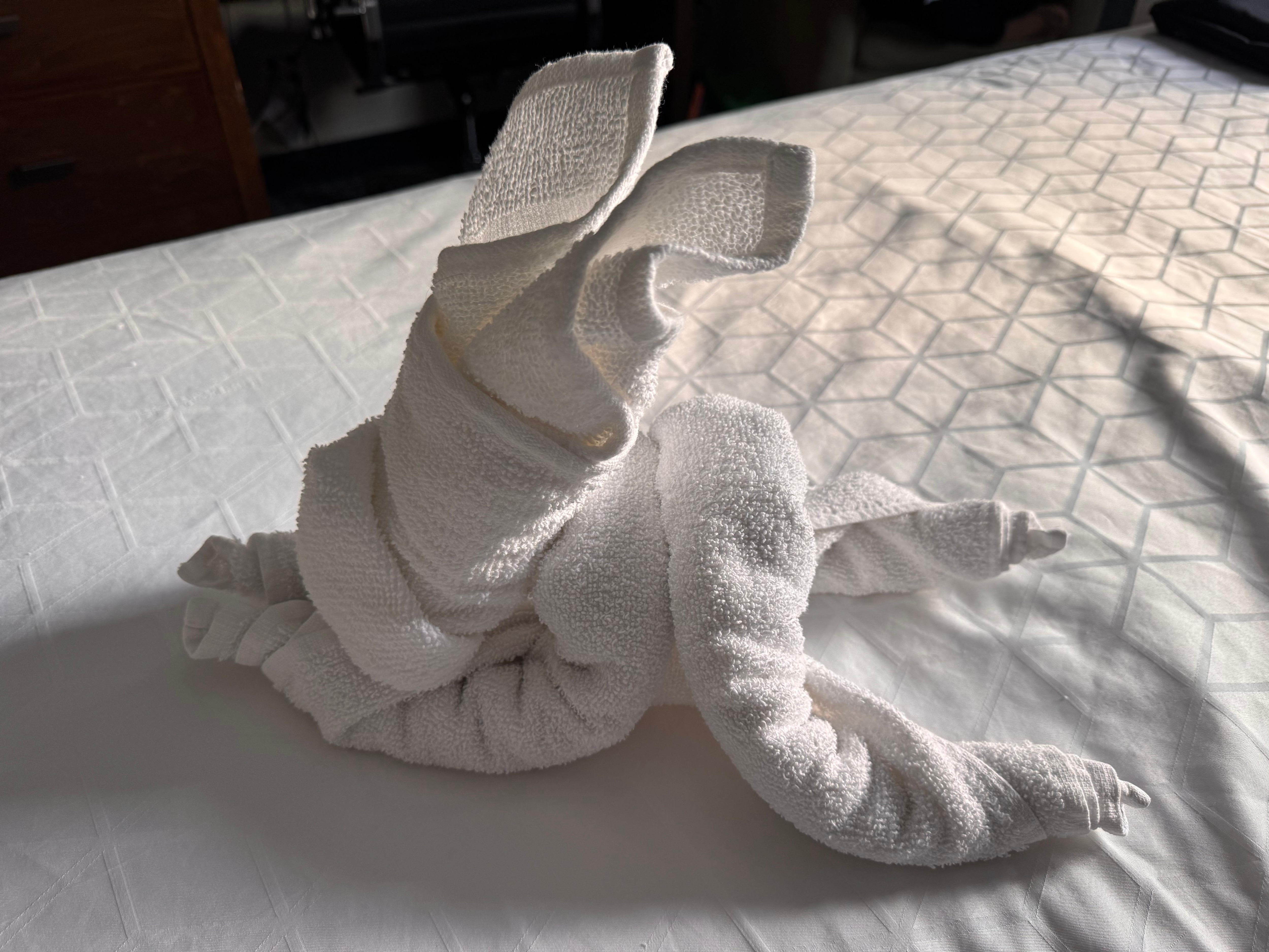 Bunny on the bed ! So cute 