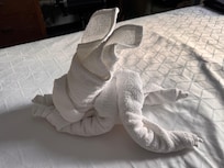 Bunny on the bed ! So cute