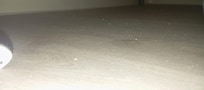 PoussiĂšre sous le lit