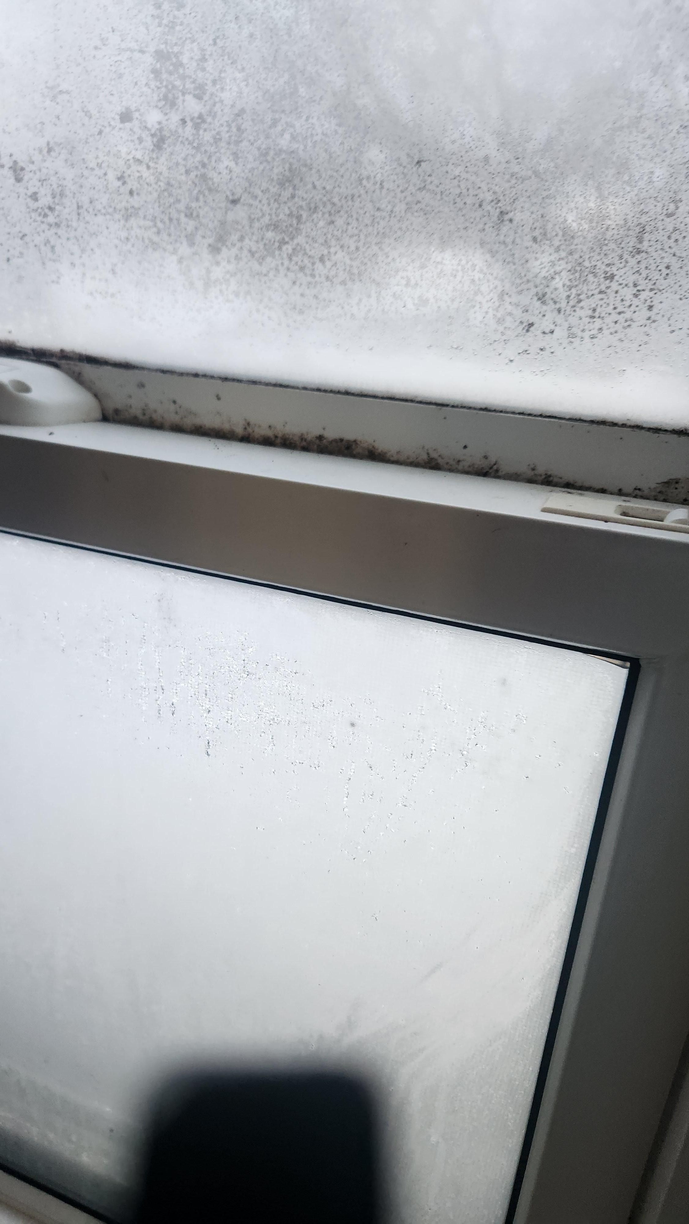 Mildew on windows