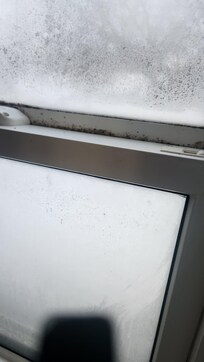 Mildew on windows