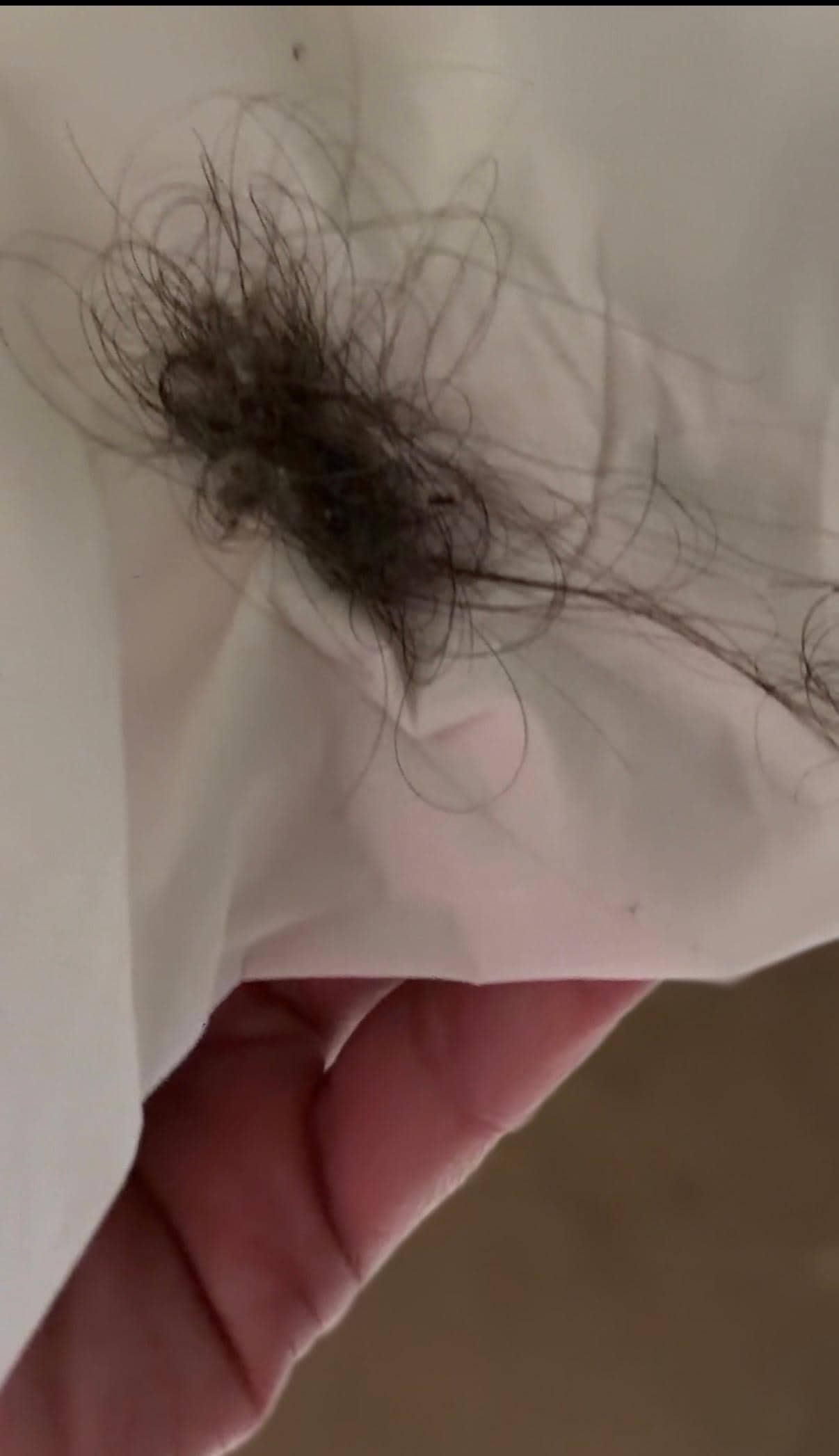 Hair I picked from the rag 