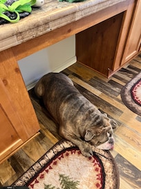 Staying cool on the floor while mom gets ready.