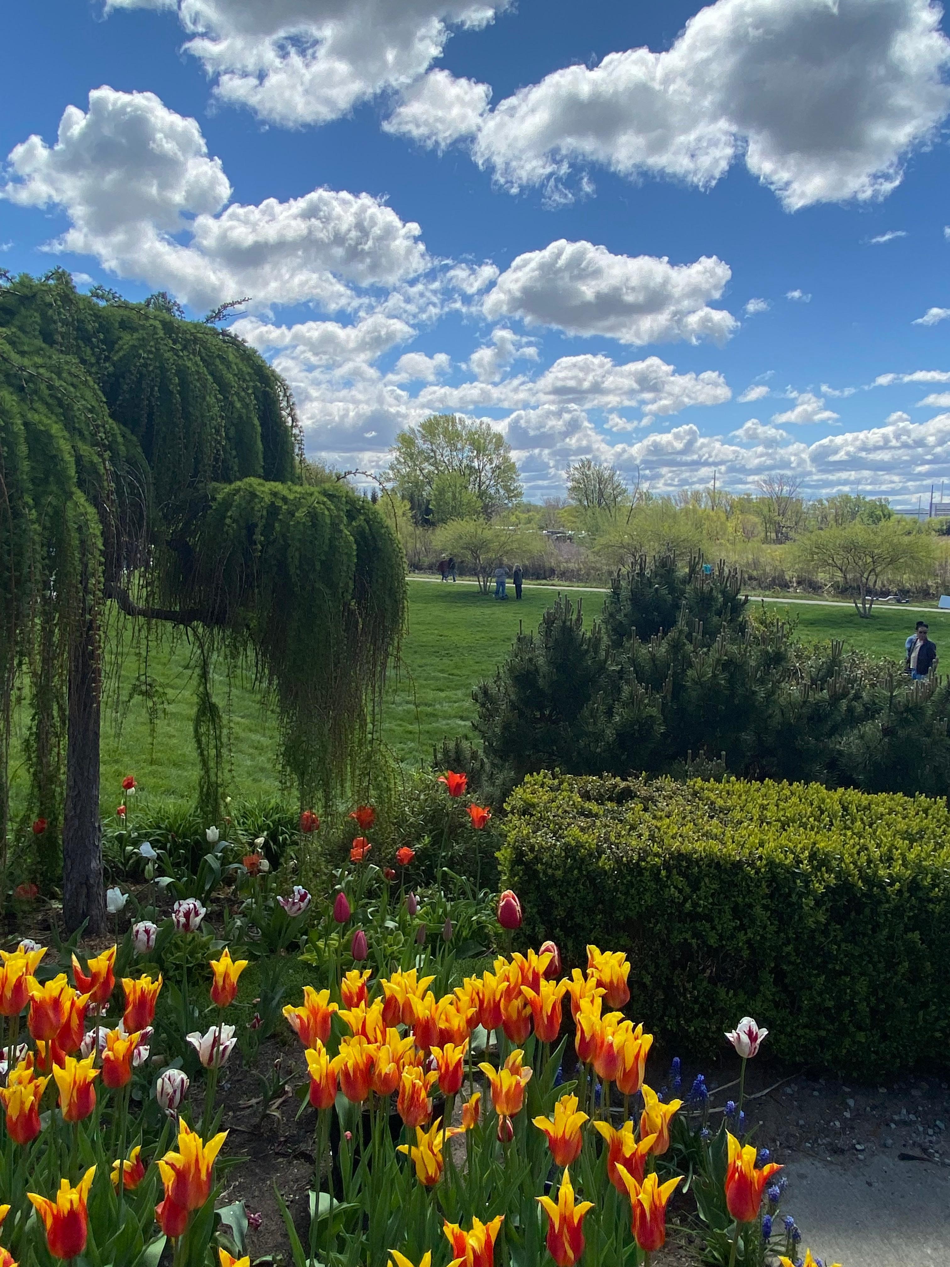 Holland Gardens