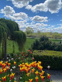 Holland Gardens