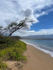 The beach is a short walk from the condo.