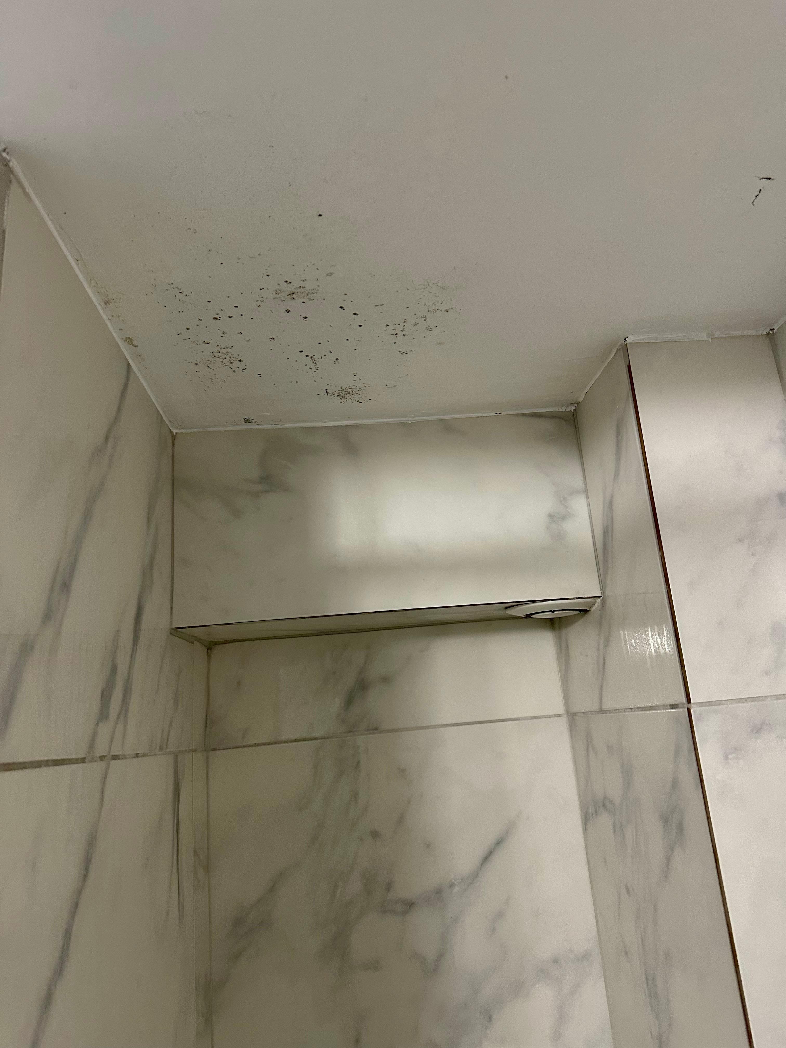 Black mould and damp to ceiling 