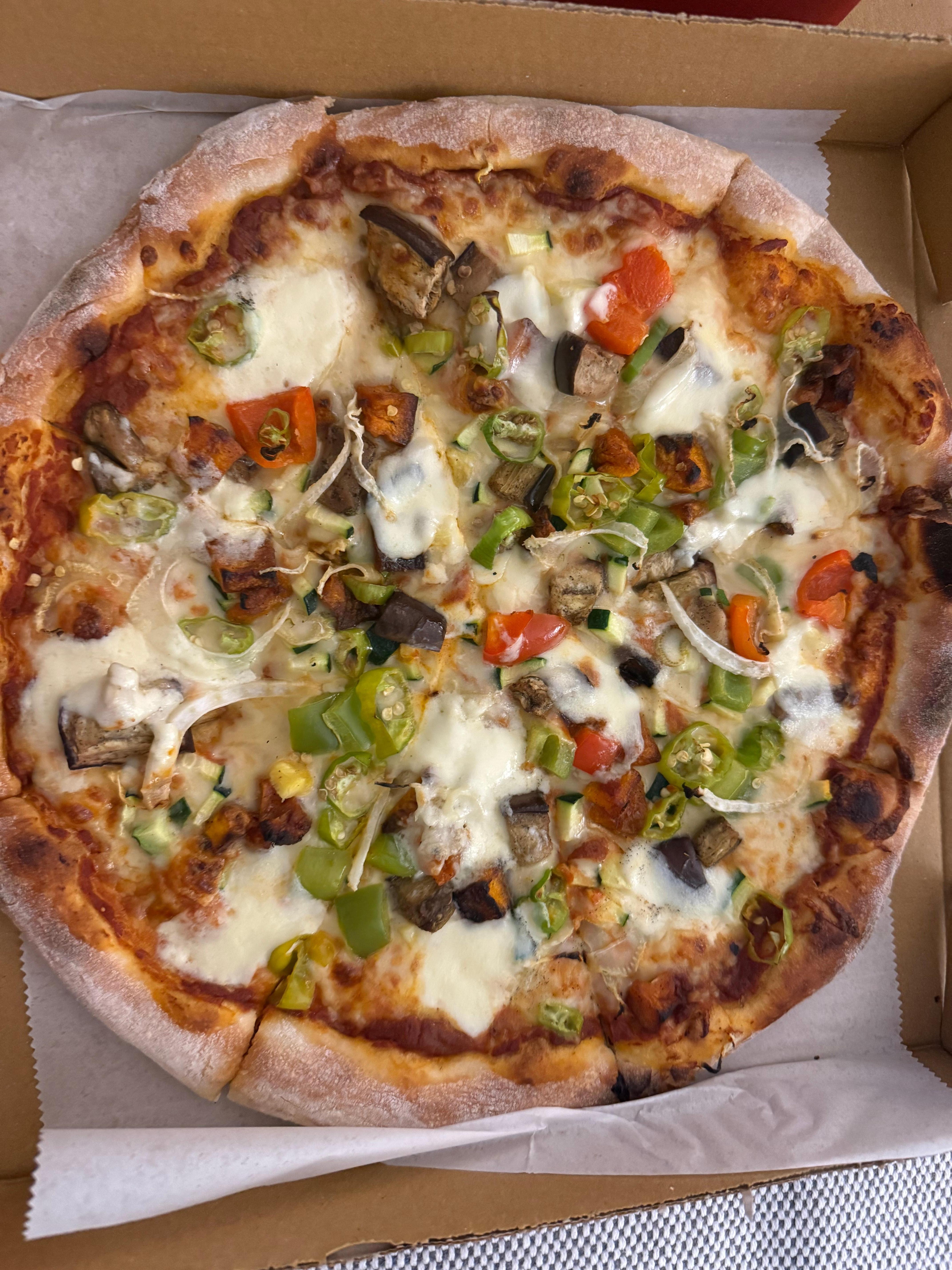 Garden vegetables pizza 