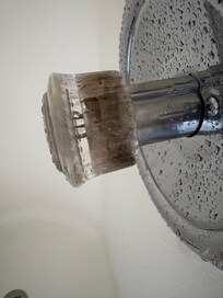 Moldy shower fixtures.