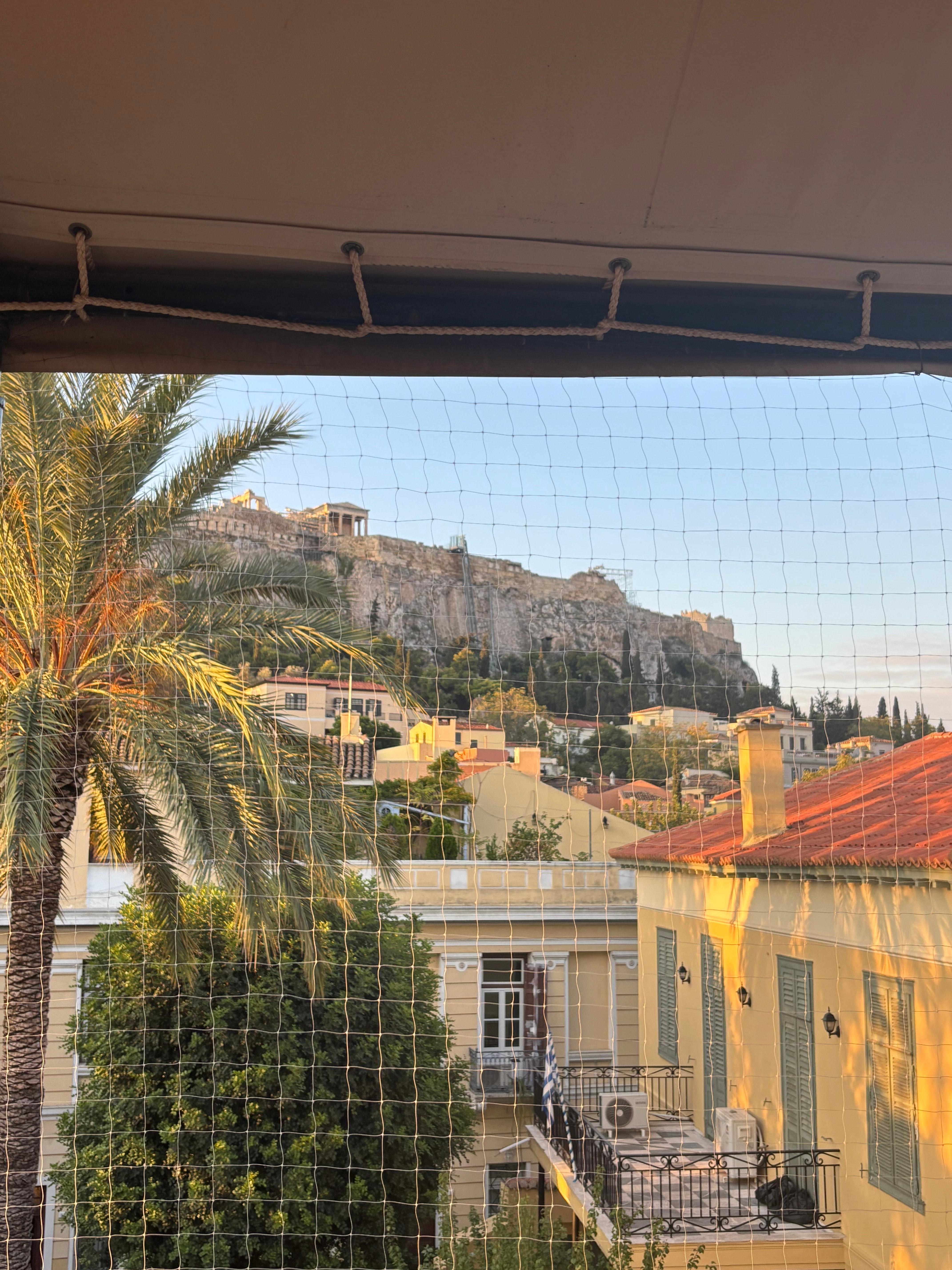 Roof top view. There is some fencing to keep birds away 