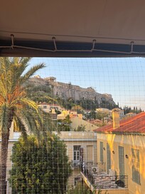 Roof top view. There is some fencing to keep birds away