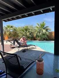 Palms so overgrown can’t walk on that side of pool.