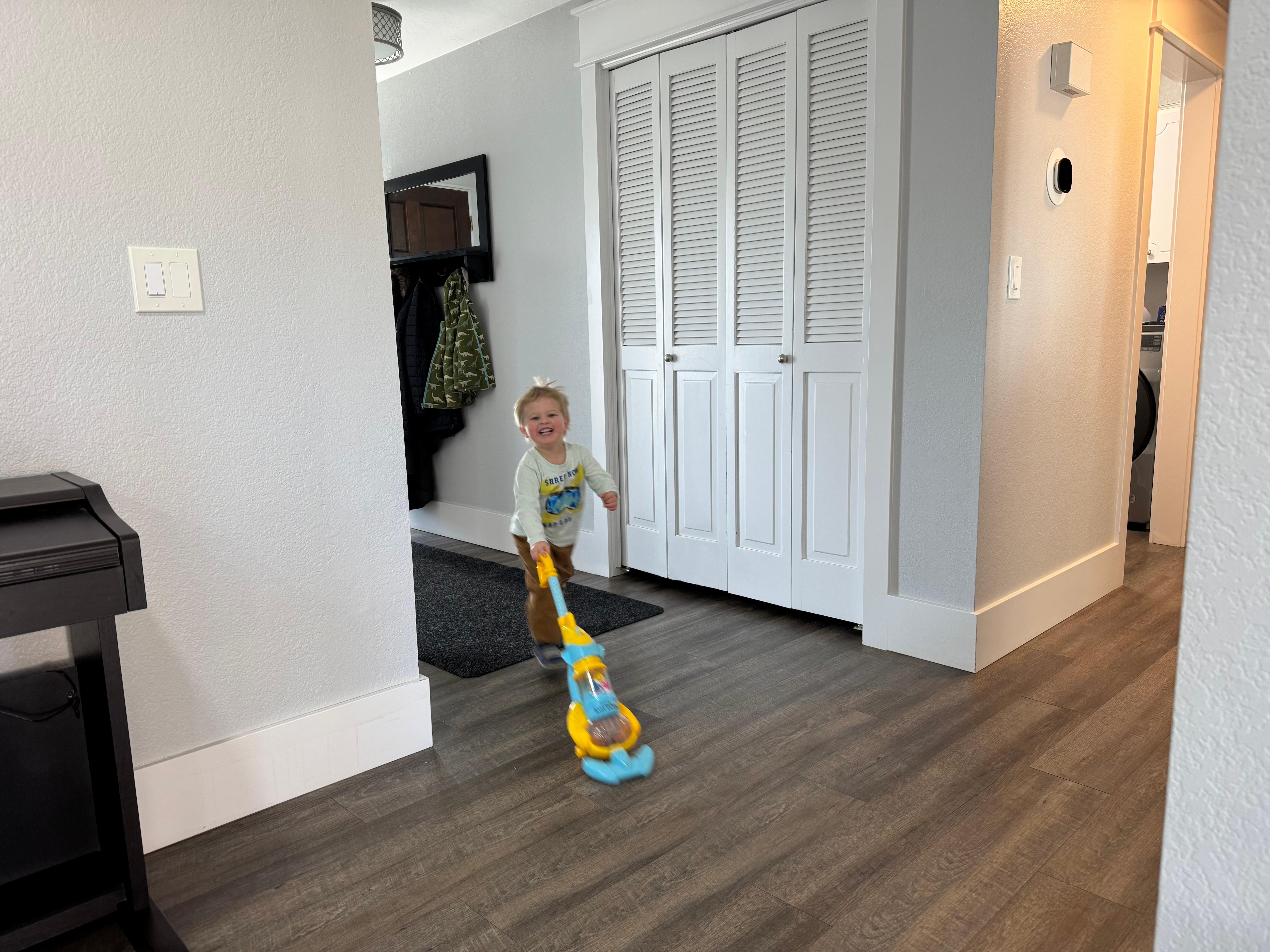 Cutest house cleaner ever.