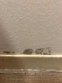 Mold in bathroom down stairs