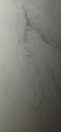 Bathroom wall hair all over