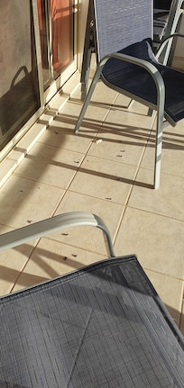 Twice daily pigeon poo sweep up