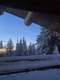 View from the living area