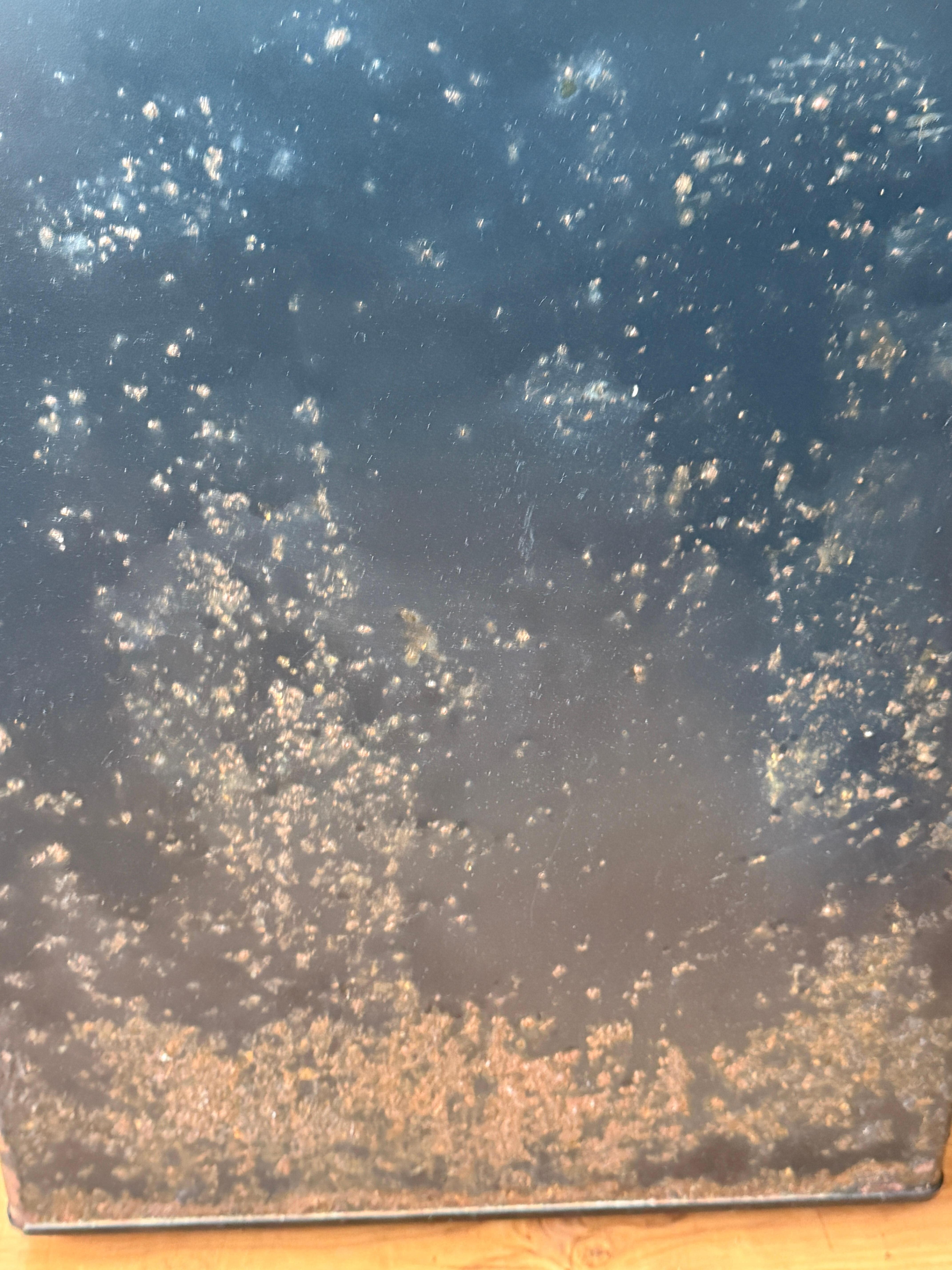 Refrigerator door - completely rusted out