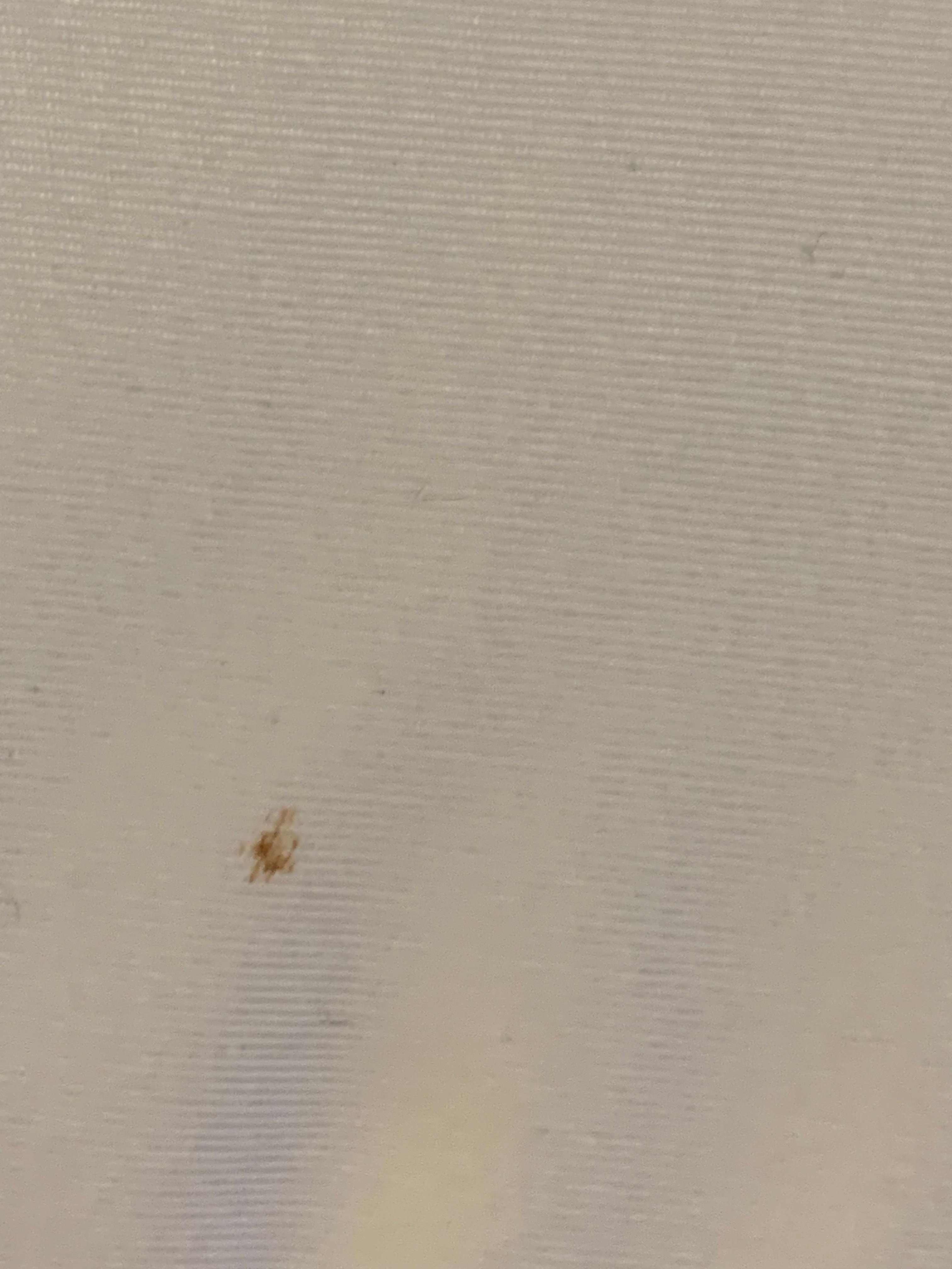 Blood spot on top sheet