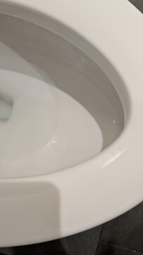 Toilet bowl not clean