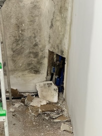 Schimmel Bausstelle im Keller