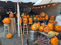 Halloween approaching