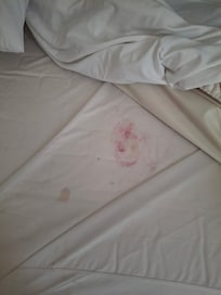 This was the condition of the room upon check in.