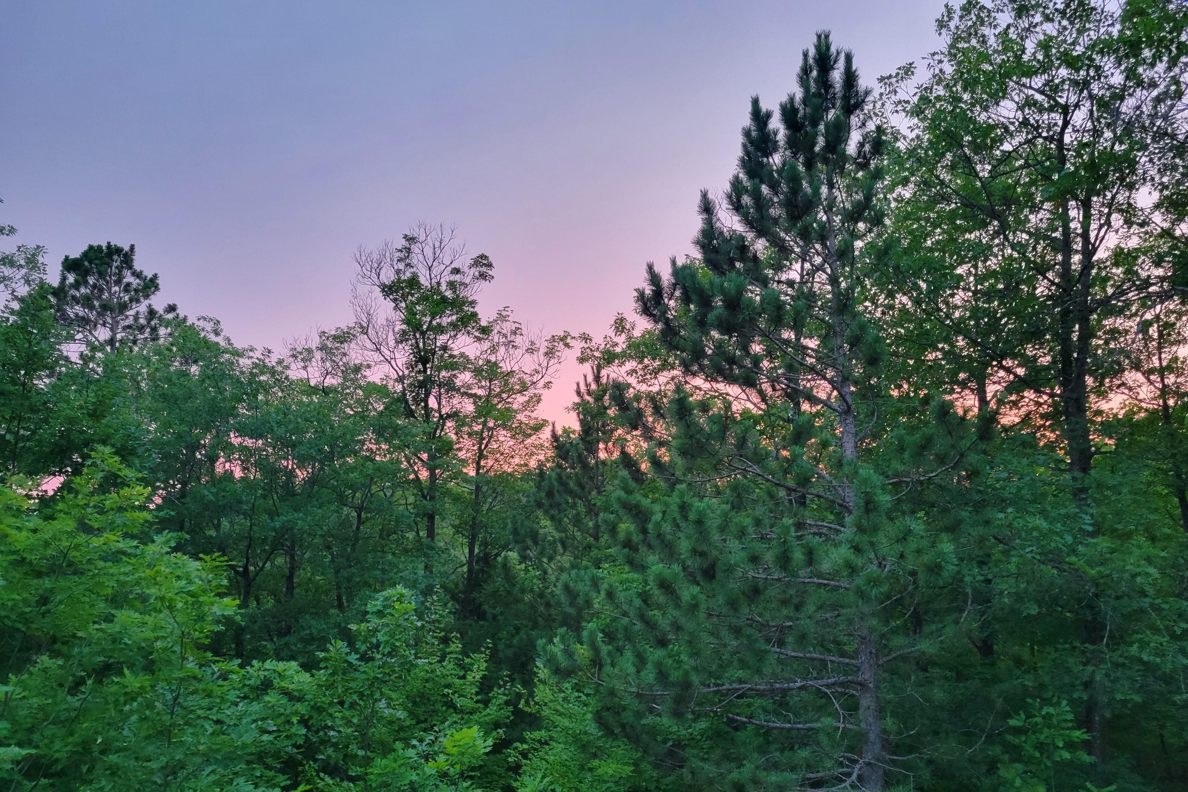 At dusk