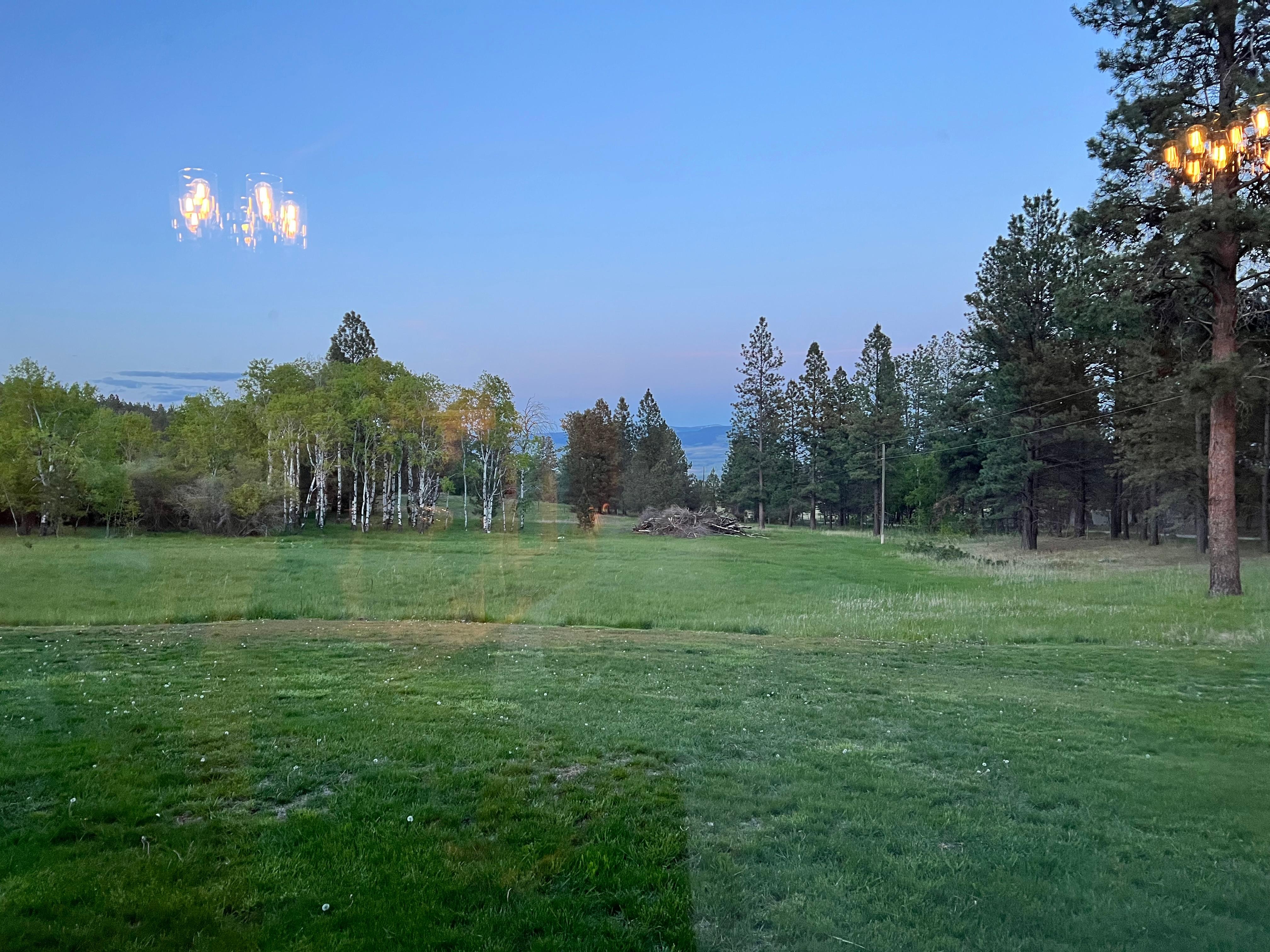 View from living room window. 