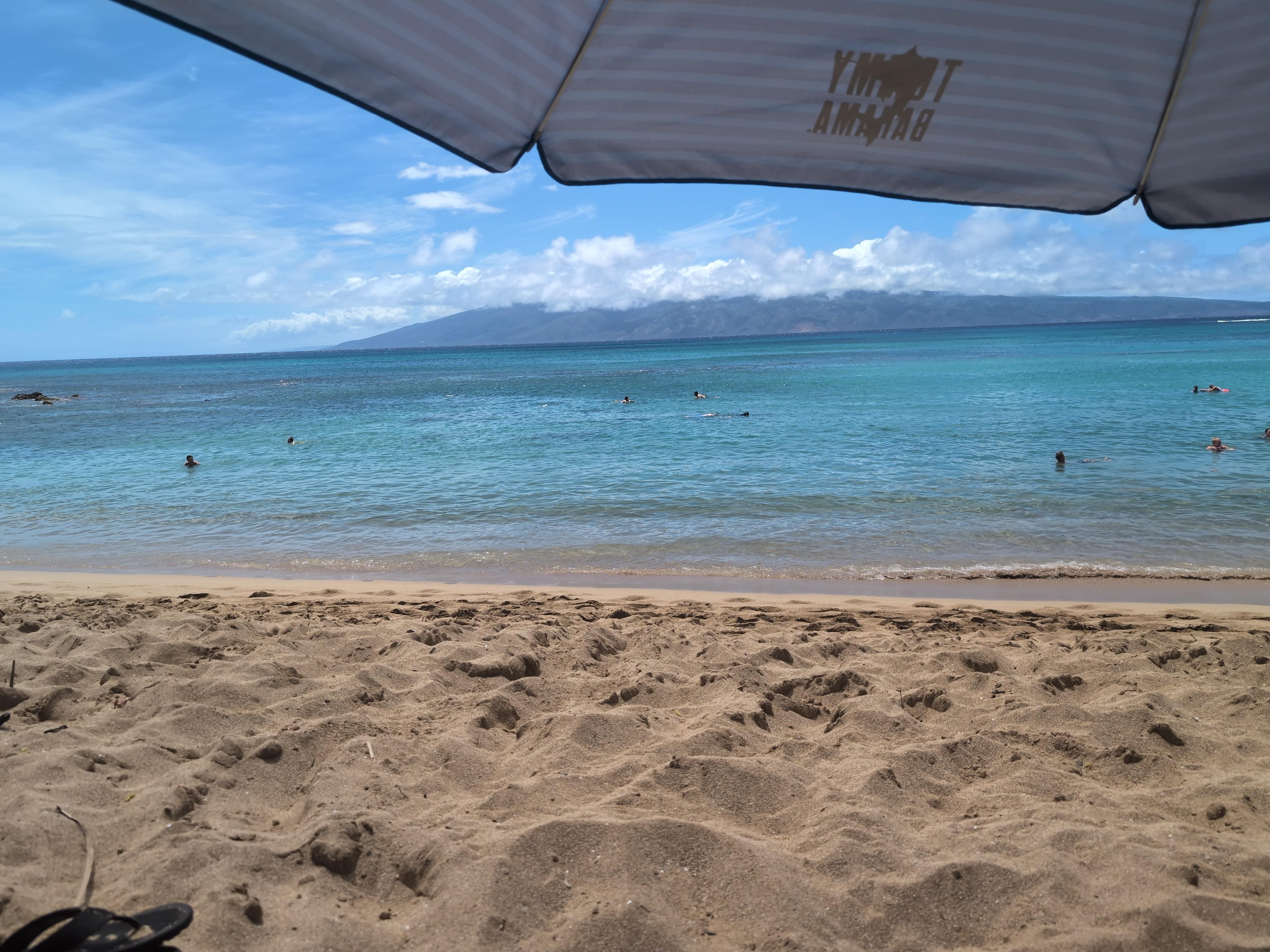 View from the lawn chair