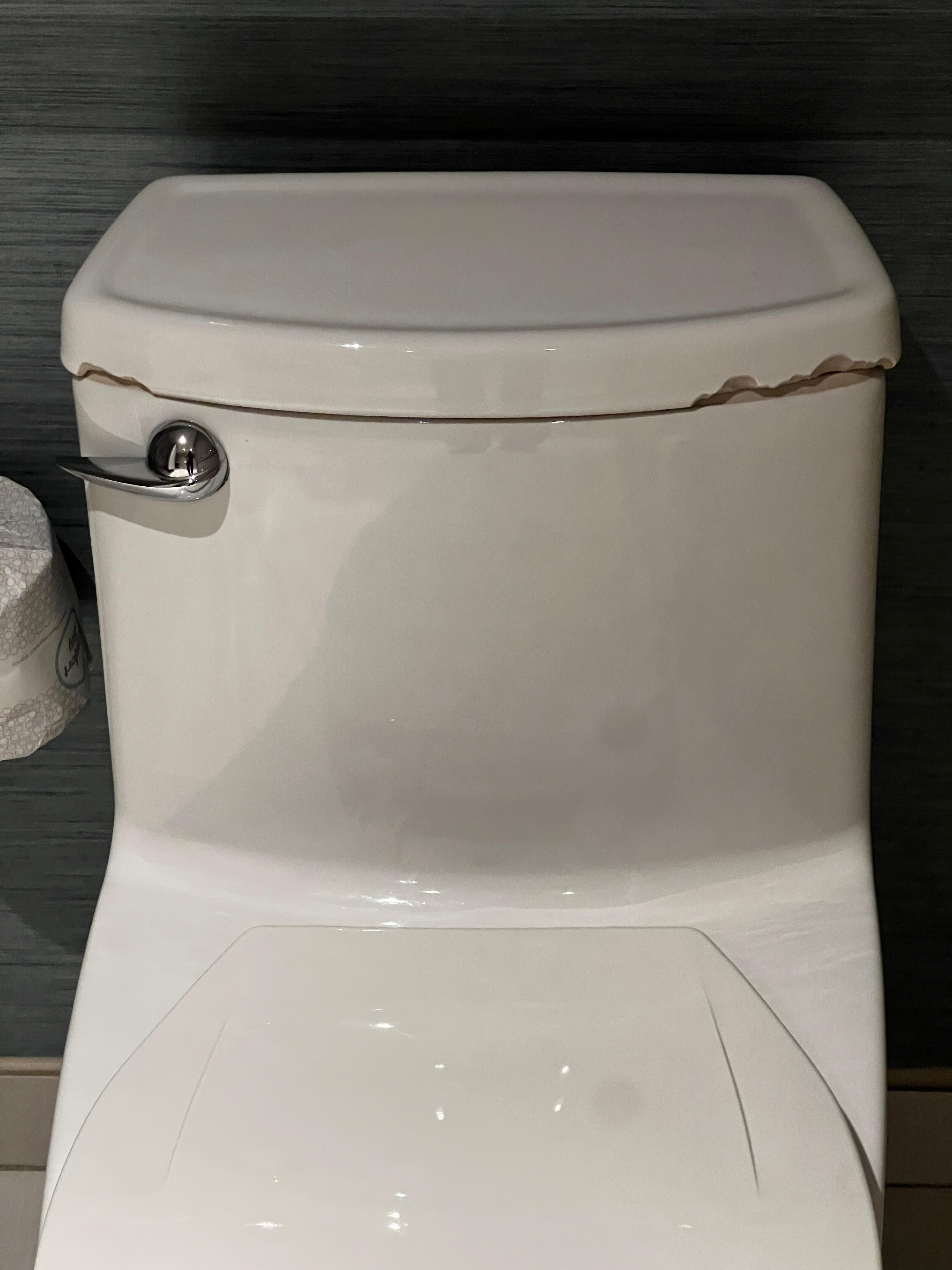 Broken toilet