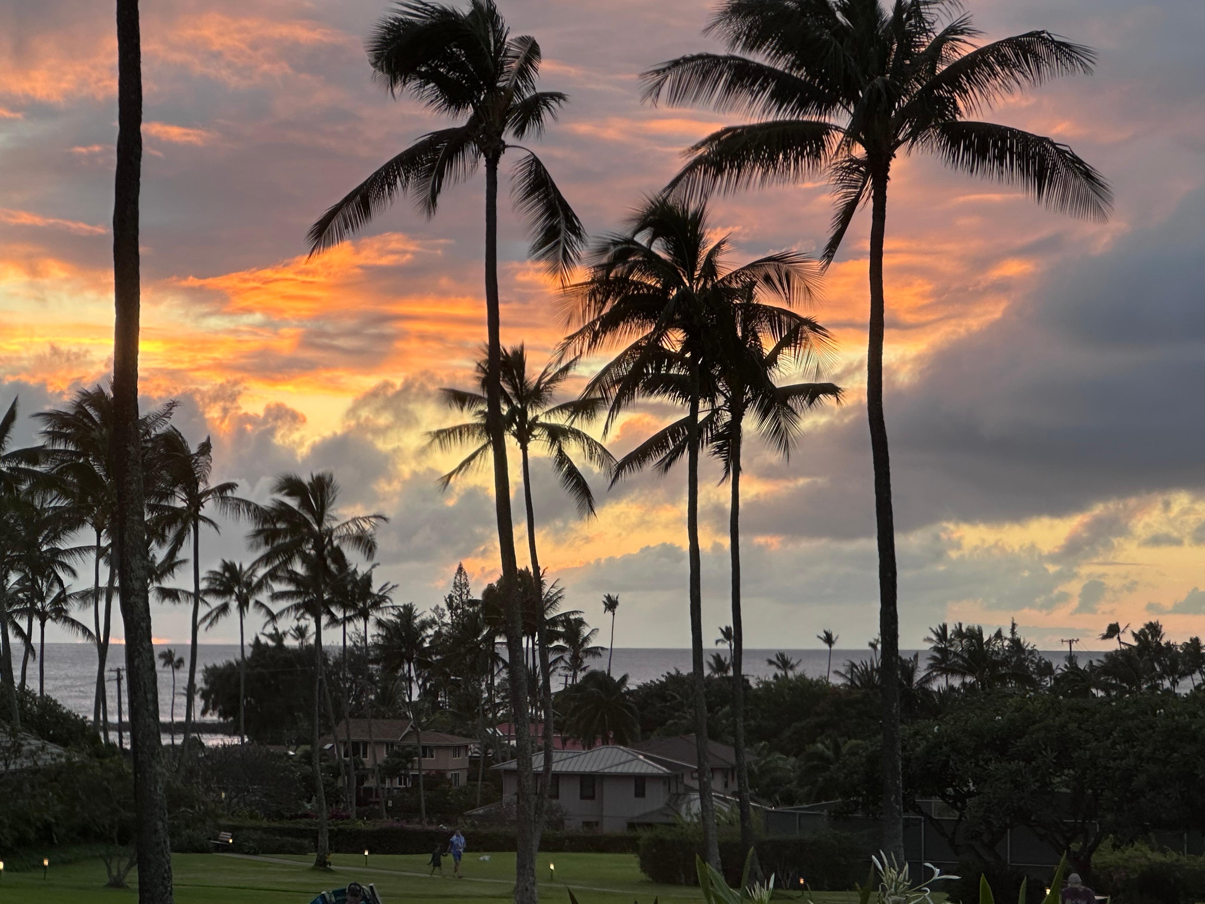 Sunset from the path to the beach