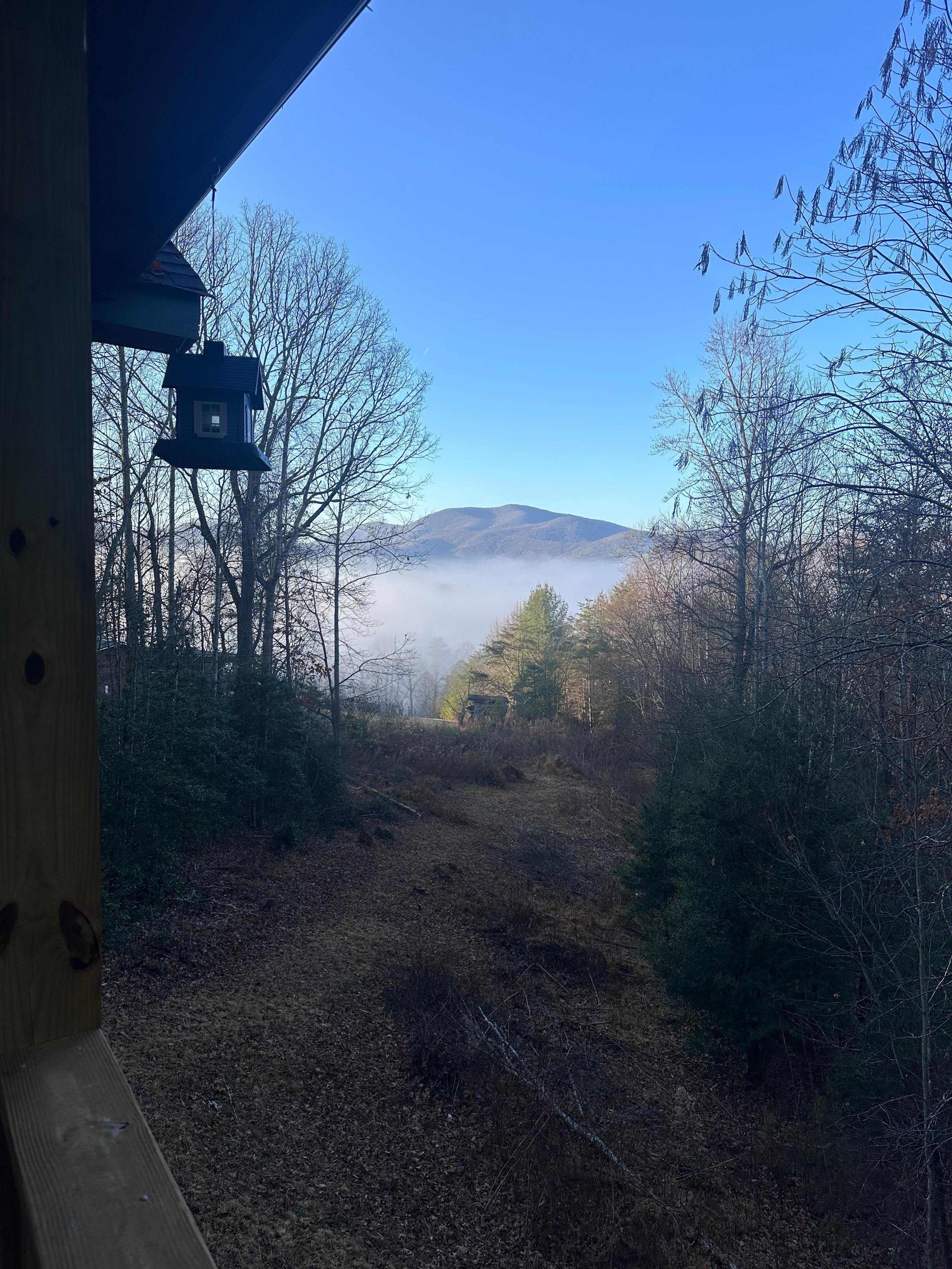 View from back deck in the morning
