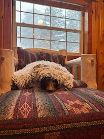 My dachshund found his favorite chair and stayed quite warm!