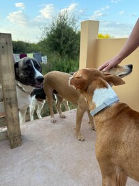 Die täglichen Besucher 😊