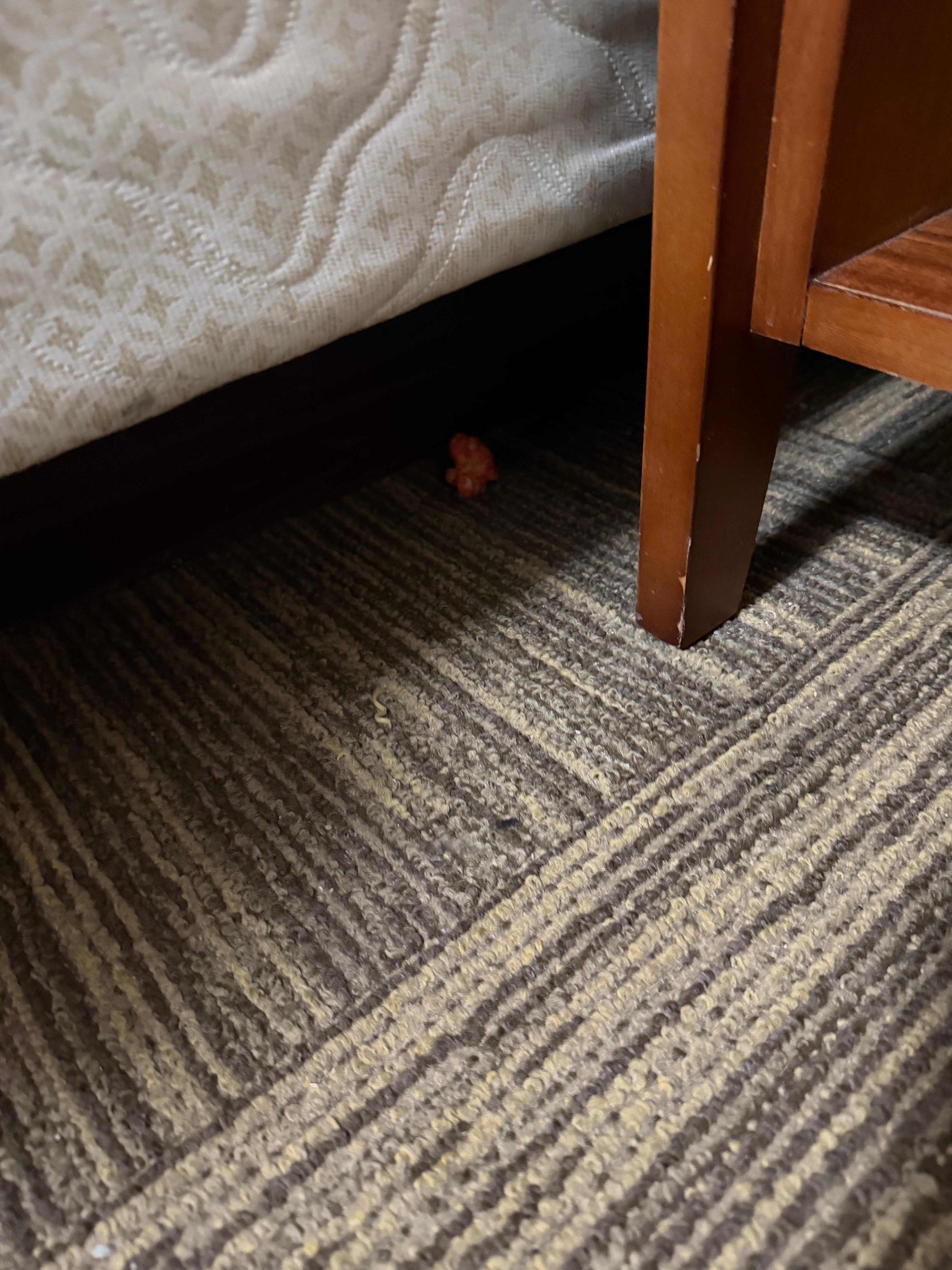 Food crumbs just under bed