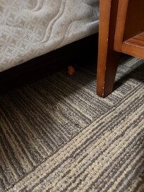 Food crumbs just under bed