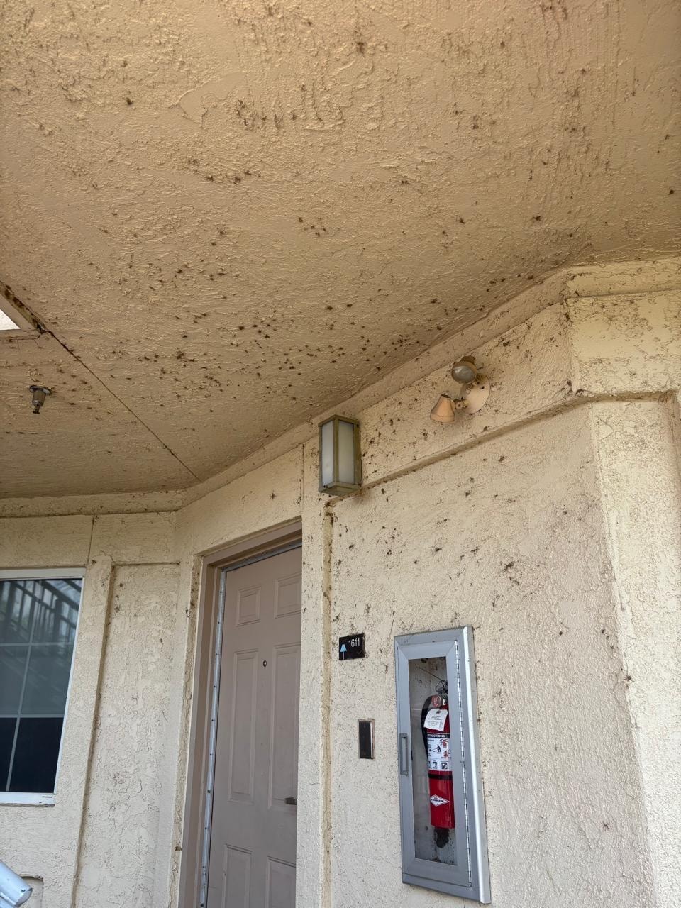Room door