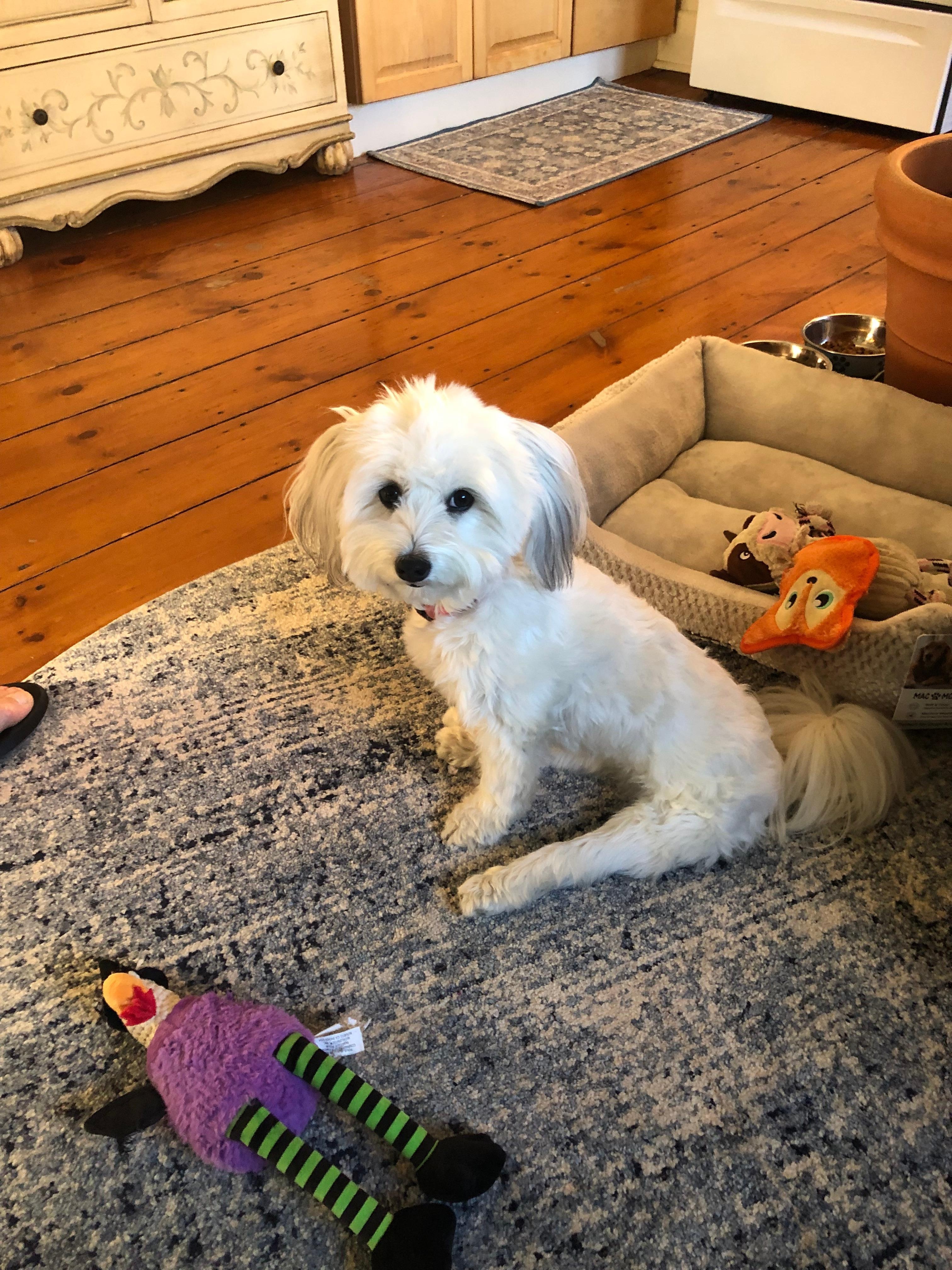 Finnley w/ her goodies 