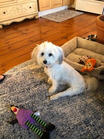 Finnley w/ her goodies