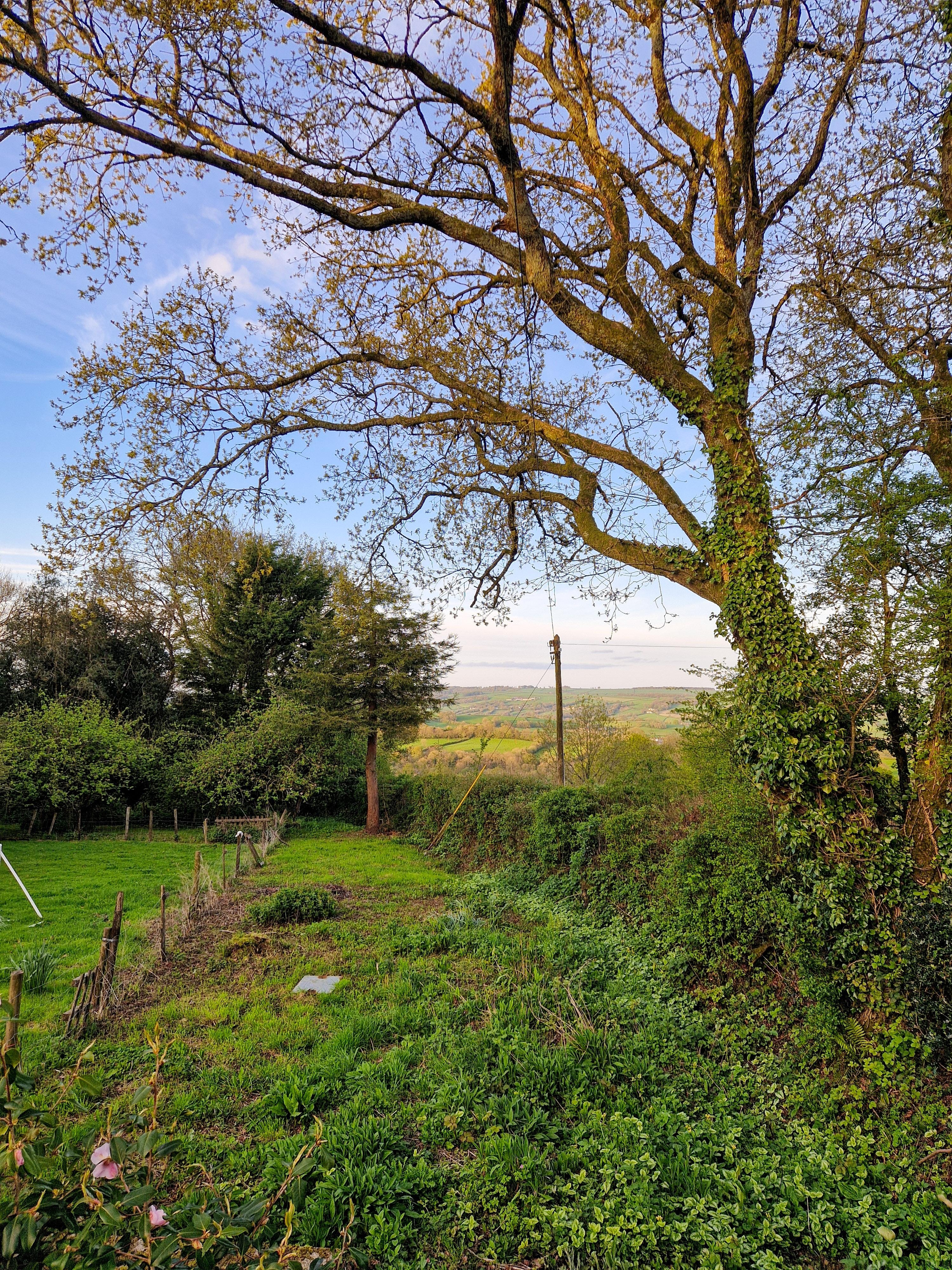 View of the surrounding valley from the cottager