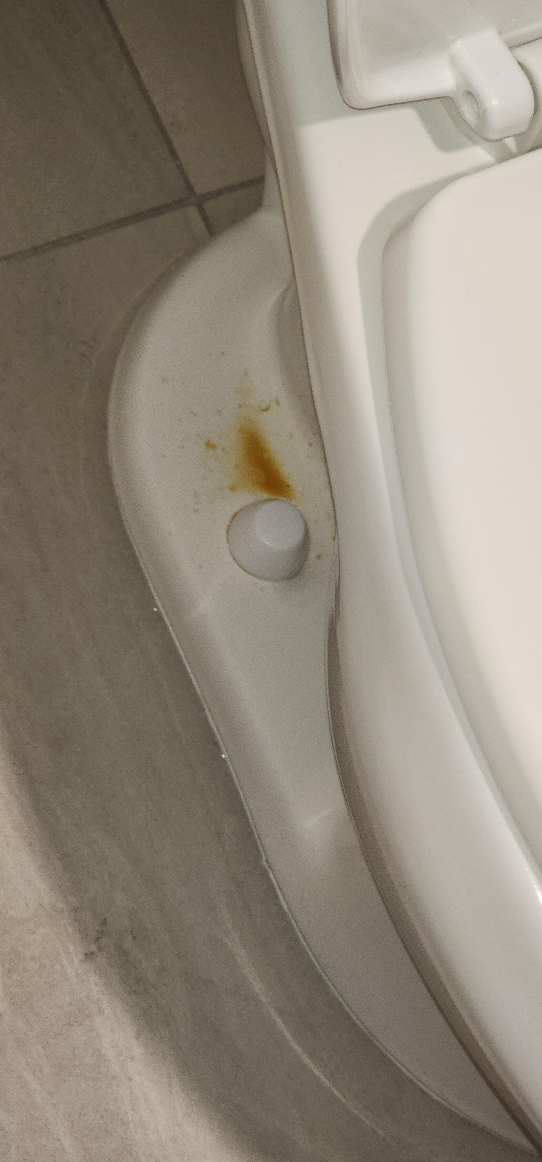 The toilet in my room!