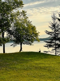 Looking out towards the lake