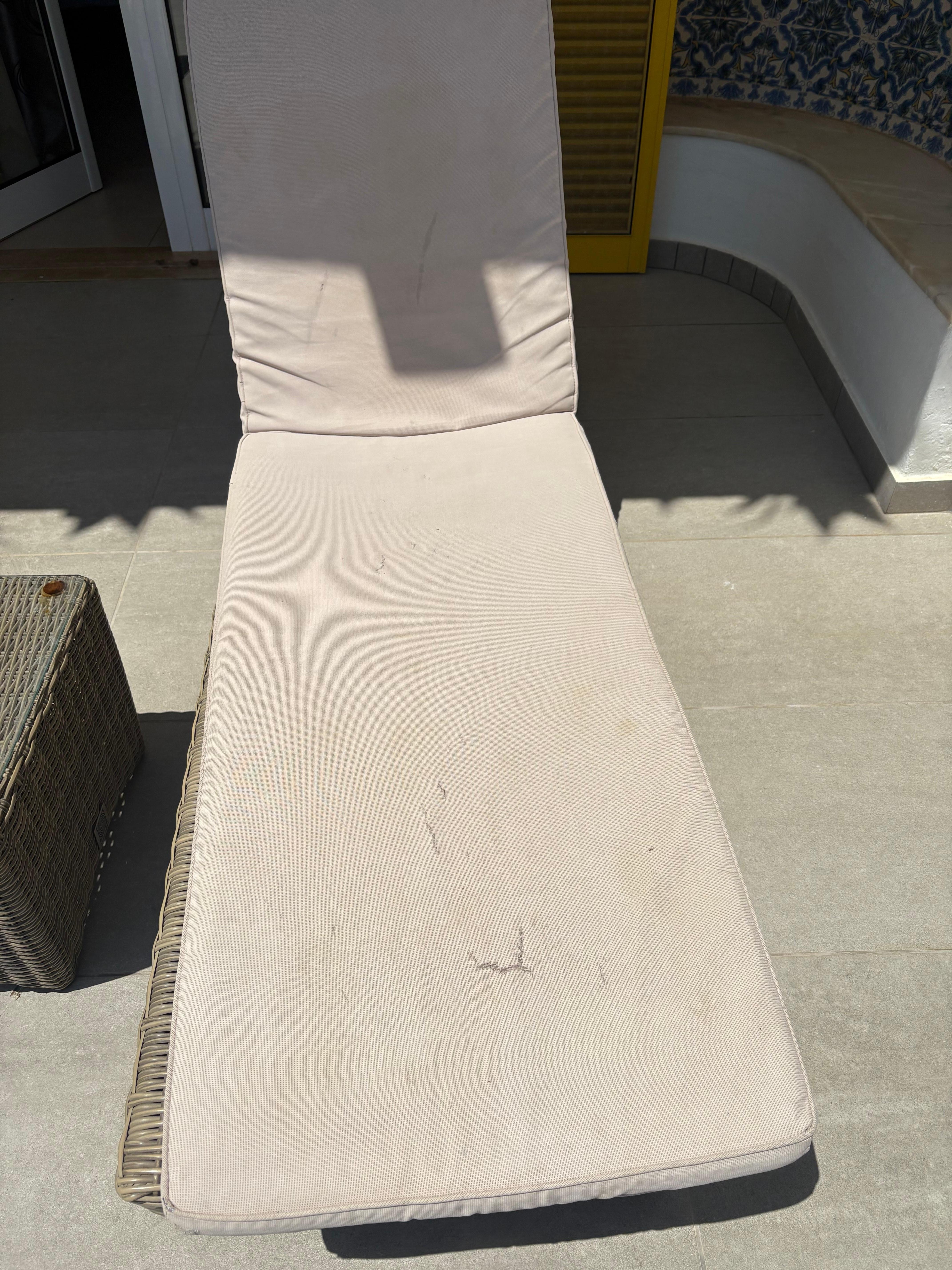 soiled and torn lounge chair