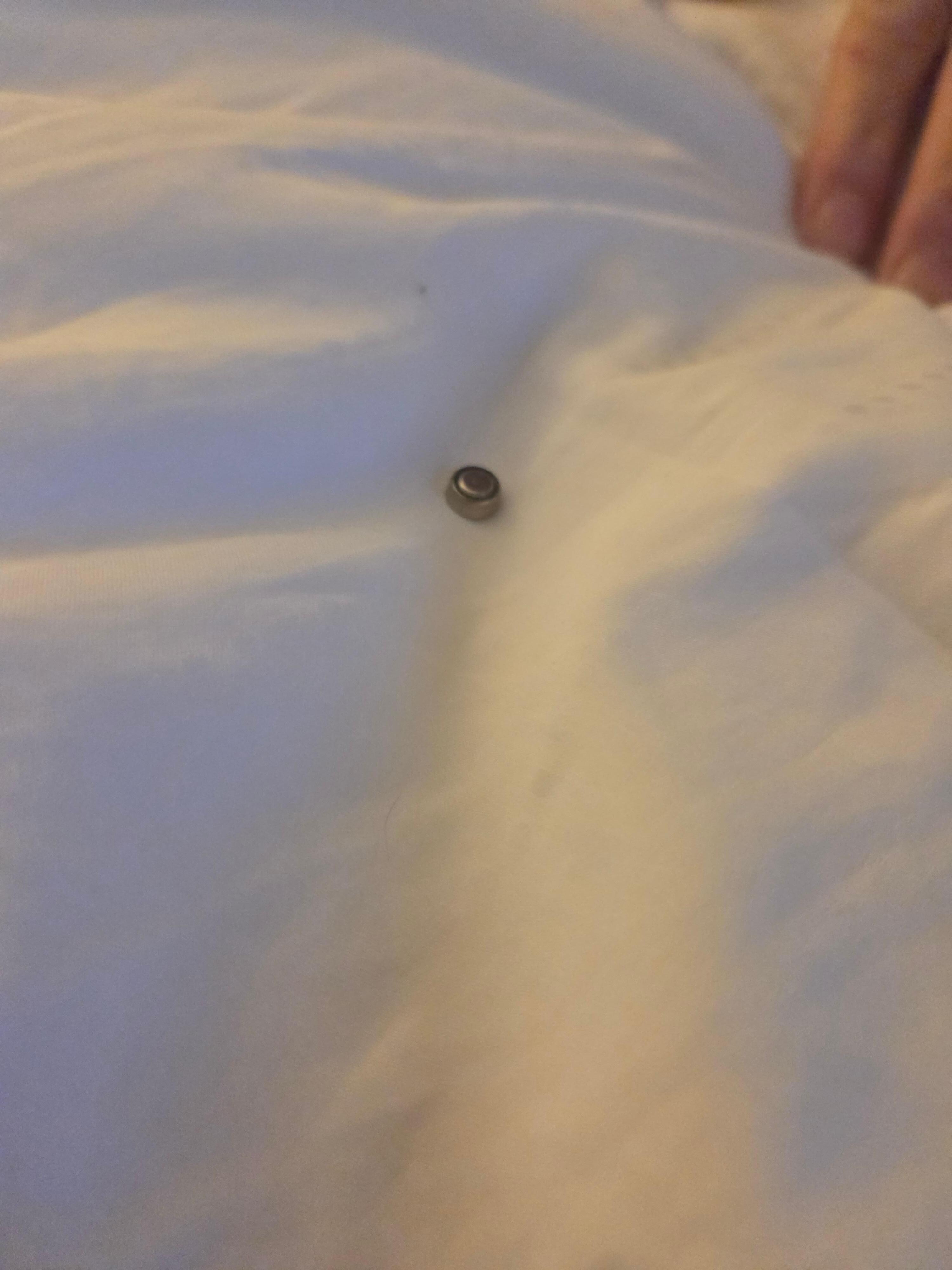Button battery 