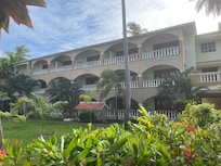 The yard