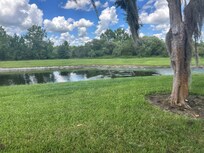 View from the pool