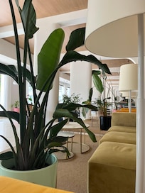 Bar area